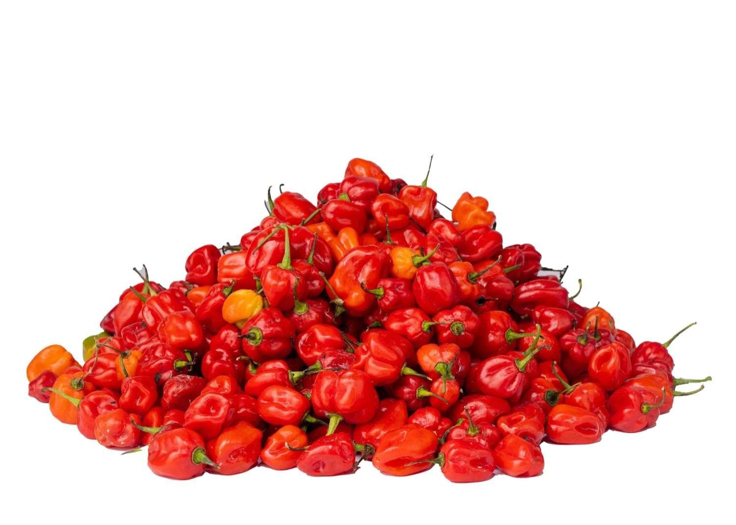 Spicy Secrets Of Atarodo Pepper: A Culinary Guide