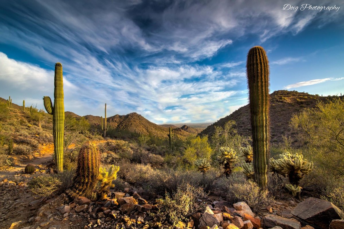 Accessing State Grants as an Out-of-State Online Student: Is Sonoran Desert Institute Worth It?